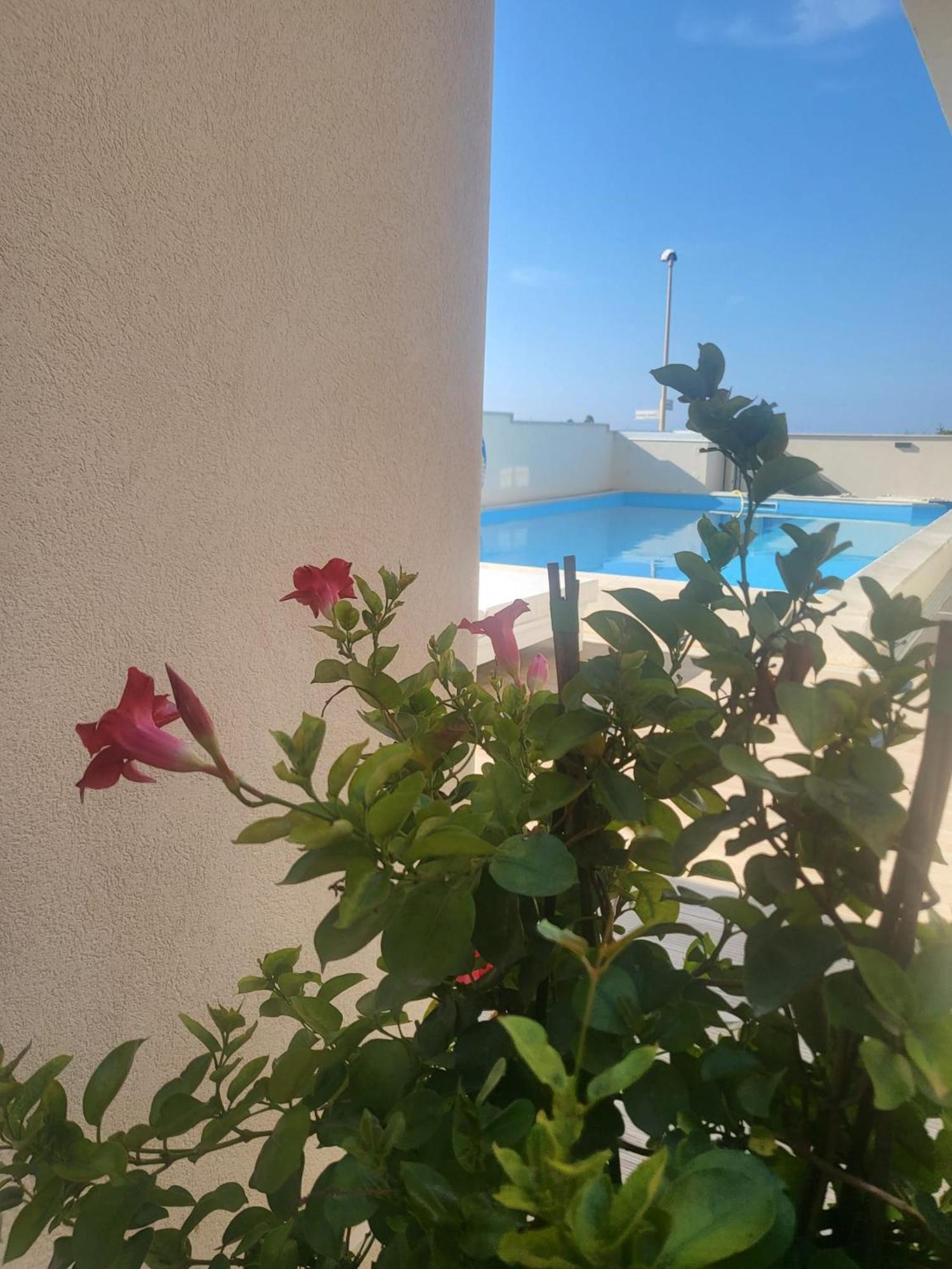 Casa P. Greco Hotel Portopalo Di Capo Passero Eksteriør billede